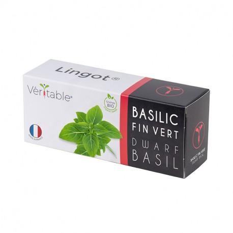 Véritable Lingot Bazalka Trpasličí BIO (EOL)