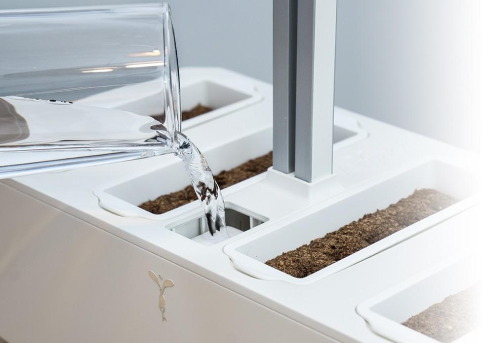 Véritable Lingot Kopr BIO (EOL)