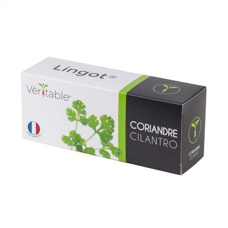 Véritable Lingot Koriandr BIO (EOL)