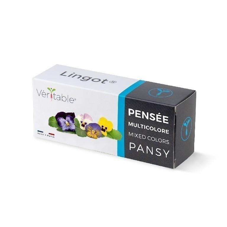 Veritable vícebarevné petunie (EOL)