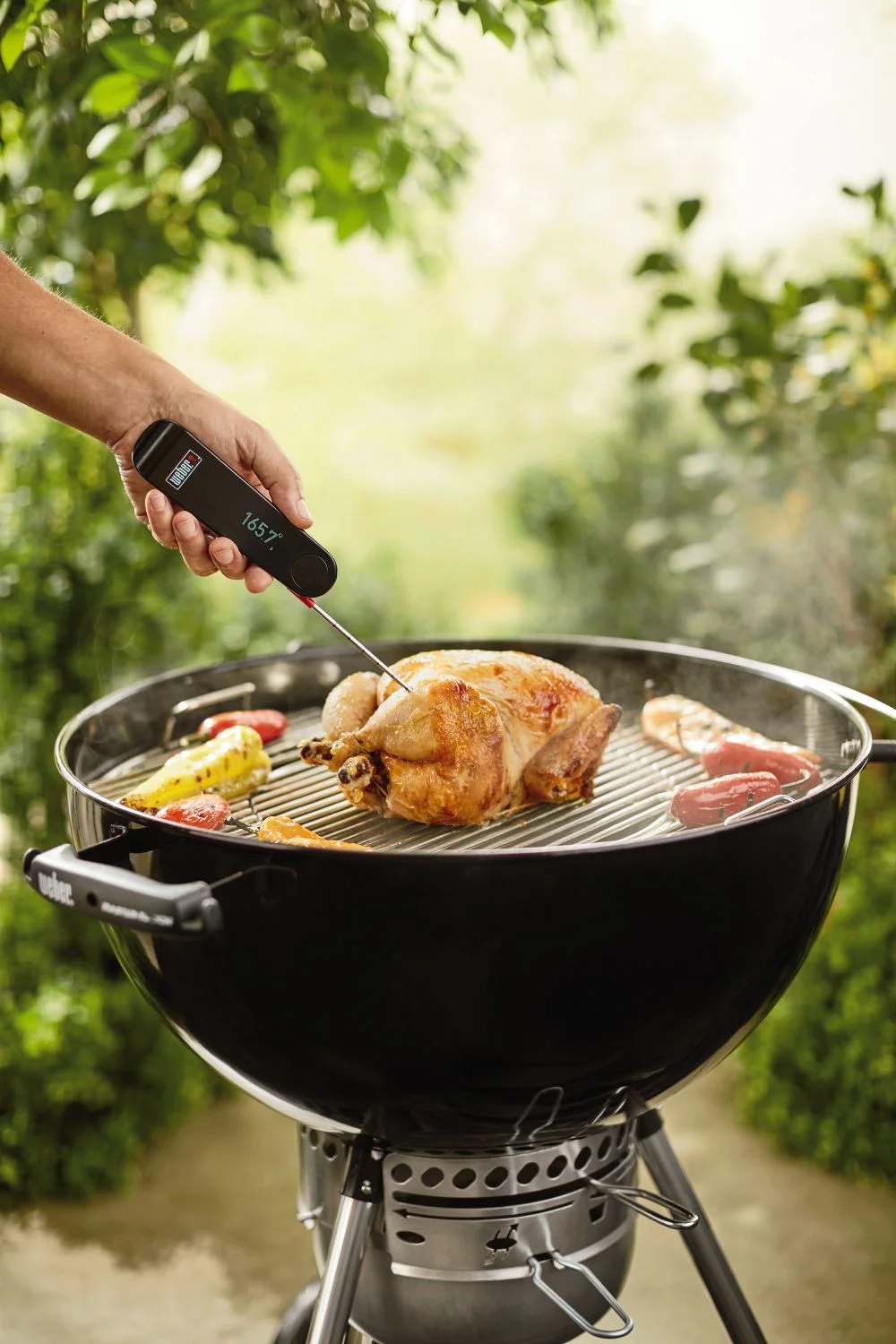 6752_Weber_Premium_Digitalthermometer_I