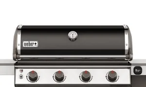 62010179_Genesis_II_E-410_front