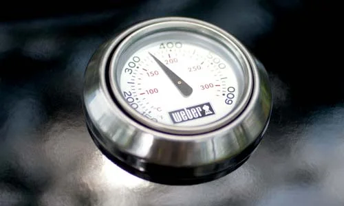 precision-thermometer3