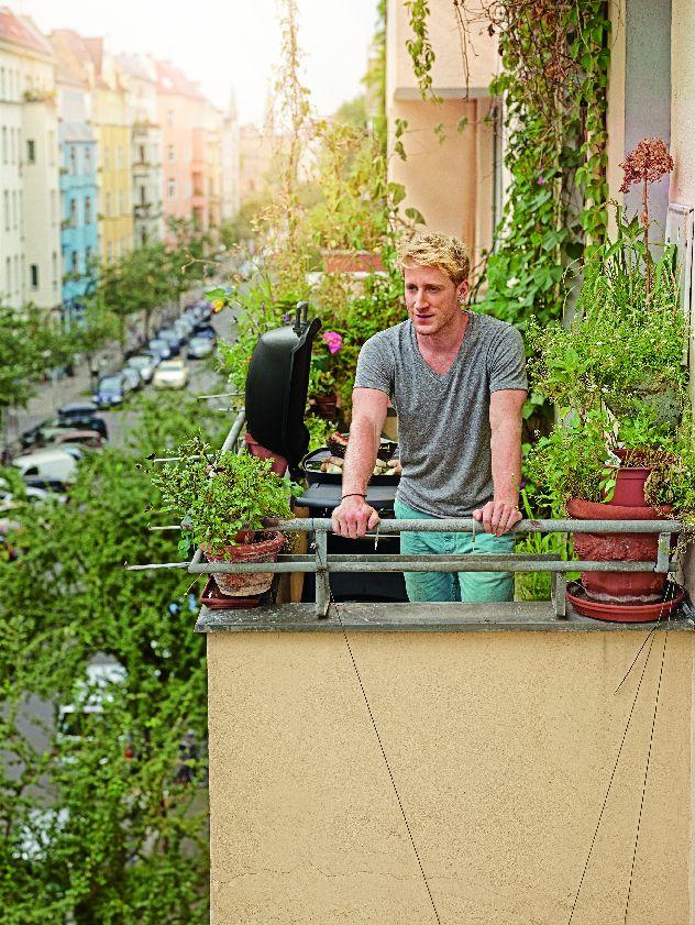 WEBER Weber Q 3200 plynový gril Black (EOL)