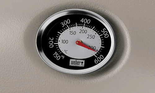 precision-thermometer5