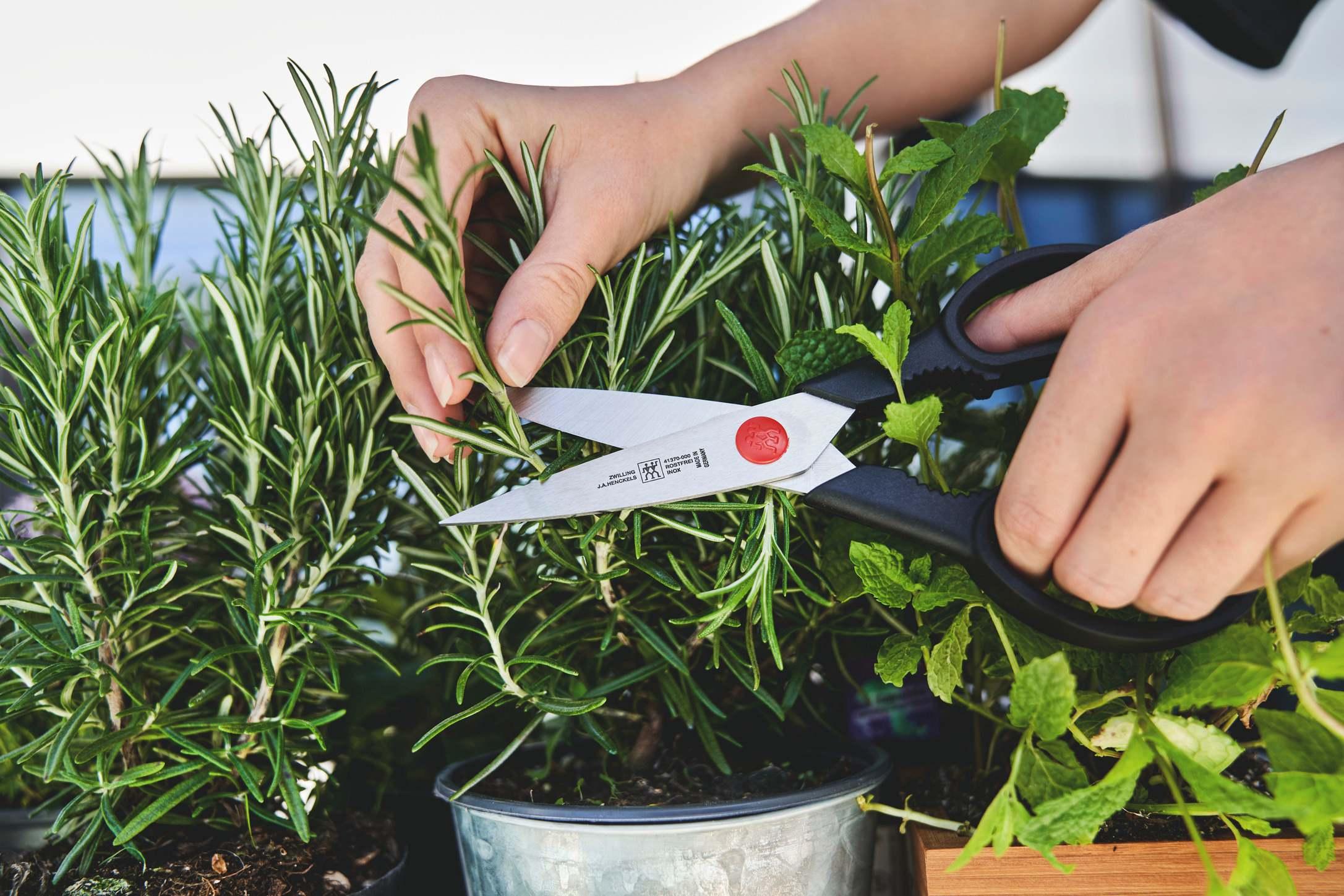 Univerzální kuchyňské nůžky TWIN L, 20,5 cm