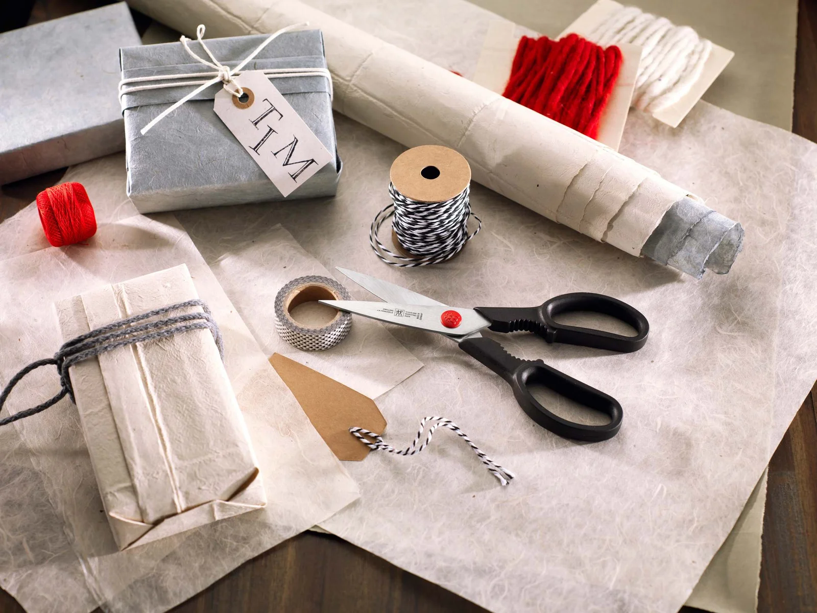 nůžky TWIN L_life_2