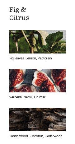 CERERIA MOLLA Boutique svíčka Fig & Citrus 230g černá (EOL)