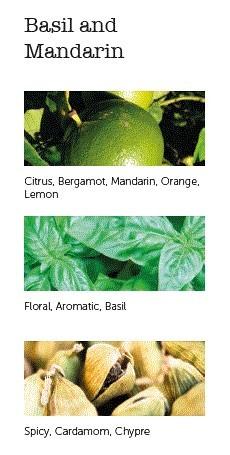 CERERIA MOLLA Boutique vonné tyčinky Basil & Mandarín 20ks černé (EOL)