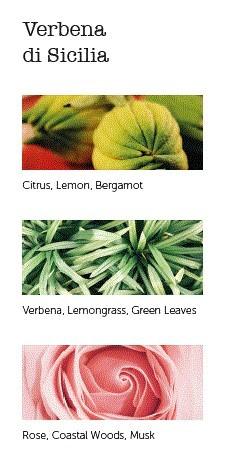 CERERIA MOLLA Boutique vonné tyčinky Verbena di Sicilia 20ks krémové (EOL)