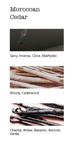 CERERIA MOLLA Boutique vonné tyčinky Moroccan Cedar 20ks krémové (EOL)