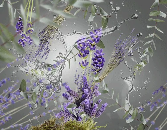 koupelna aquatic dotextu