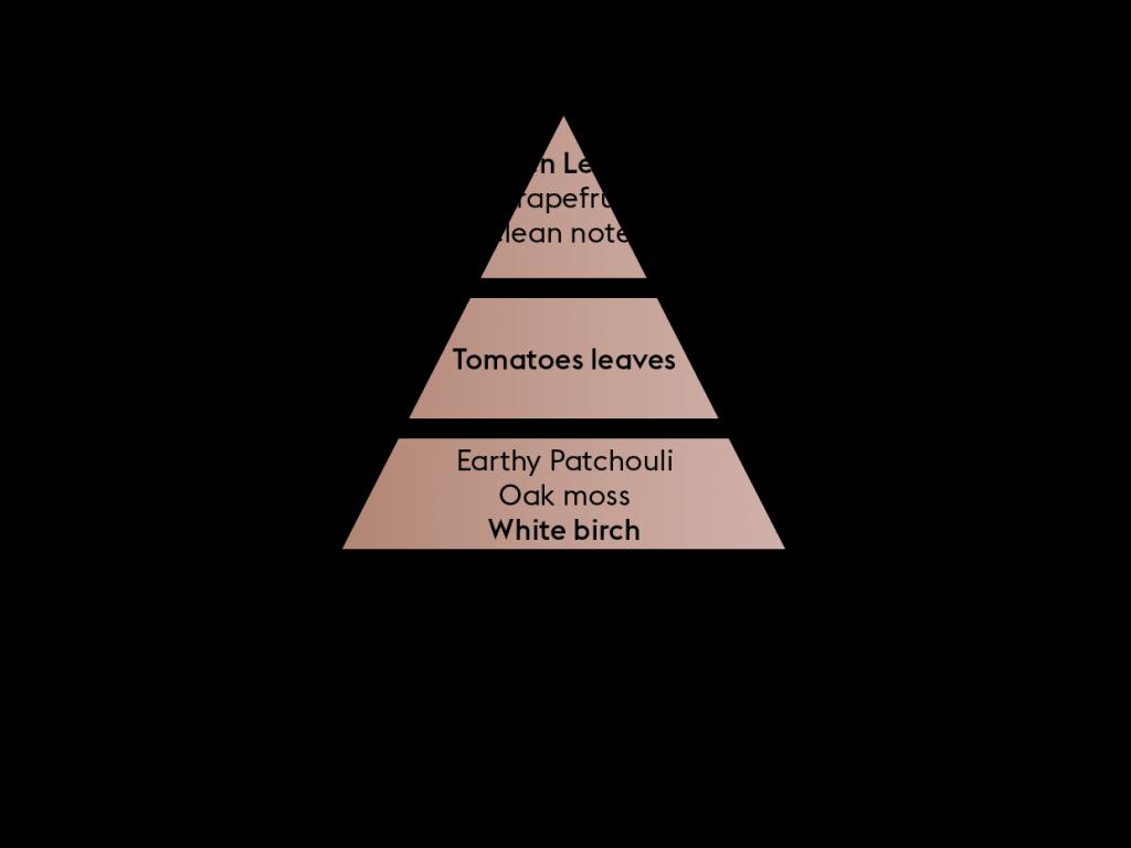 BERGER Wilderness/Divočina difuzér s náplní kostka 0,125l  (EOL)