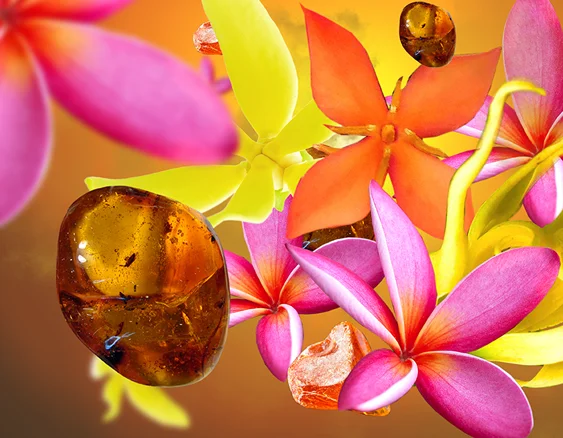 115145 ambrove slunce