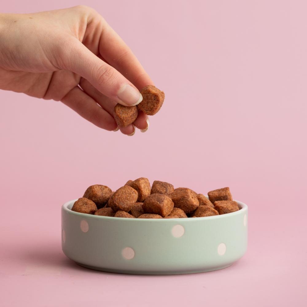 Miska pro psy/kočky Polka Dots, 300 ml, šalvějová