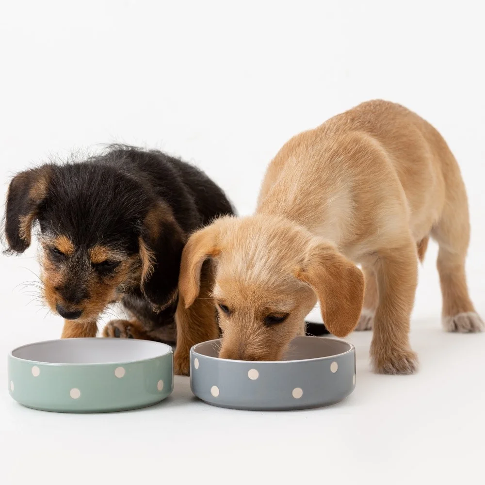 Mason Cash Polka Dot Pet Bowls_300ml