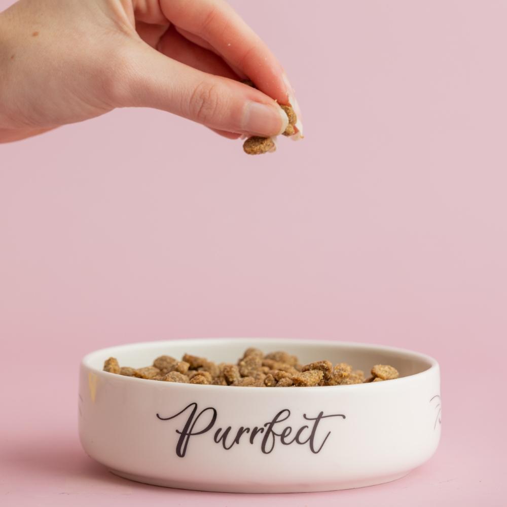 Miska pro kočky Decorated Purrfect, 350 ml
