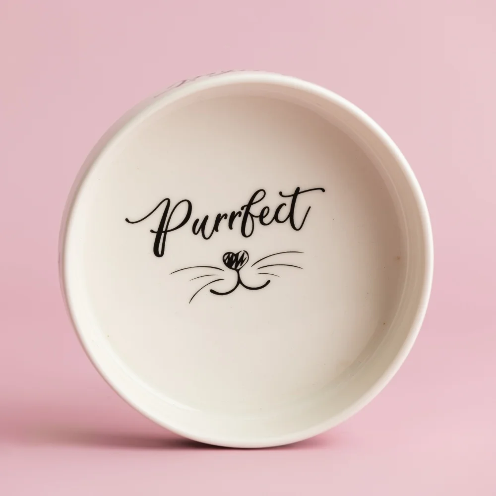 Mason Cash Purrfect Cat Bowl_2030.472-2 (čtverec malý)