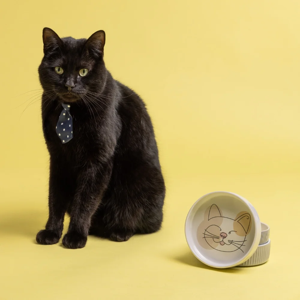 Mason Cash Abstract Cat Bowl_2030.055_catware