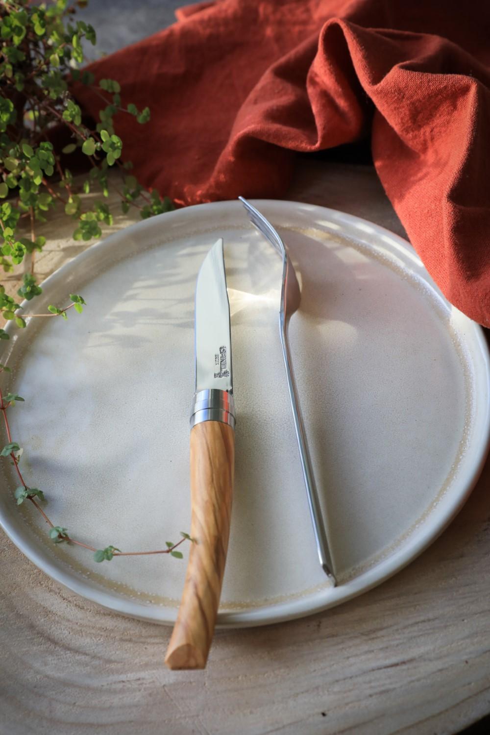 Opinel nůž steakový set 4ks oliva - 2022