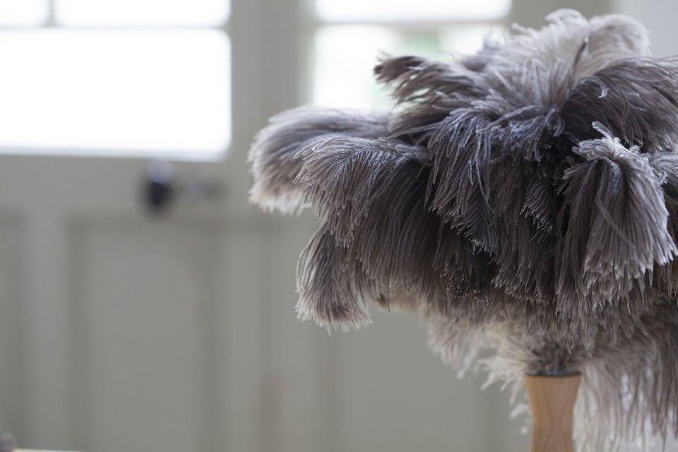 Andree Jardin prachovka pštrosí peří 30cm přírodní(EOL)