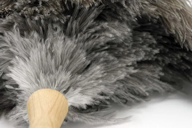 petit-plumeau-poussiere-hetre-1011-3a