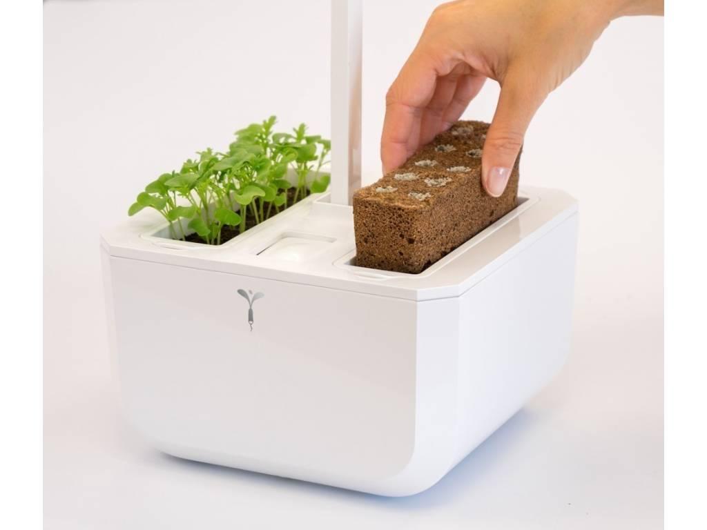 Véritable Exky Classic  stolní zahrádka s náplní 2ks bílá