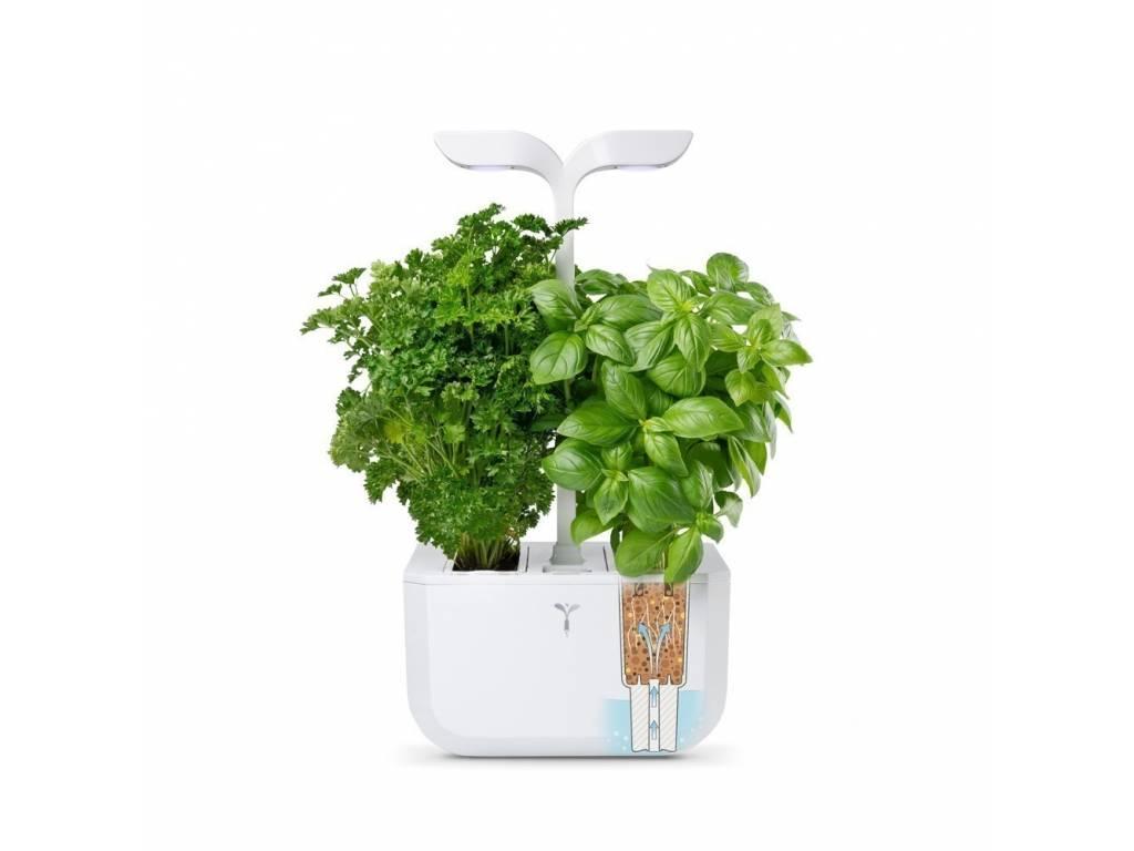 Véritable Exky Classic  stolní zahrádka s náplní 2ks bílá