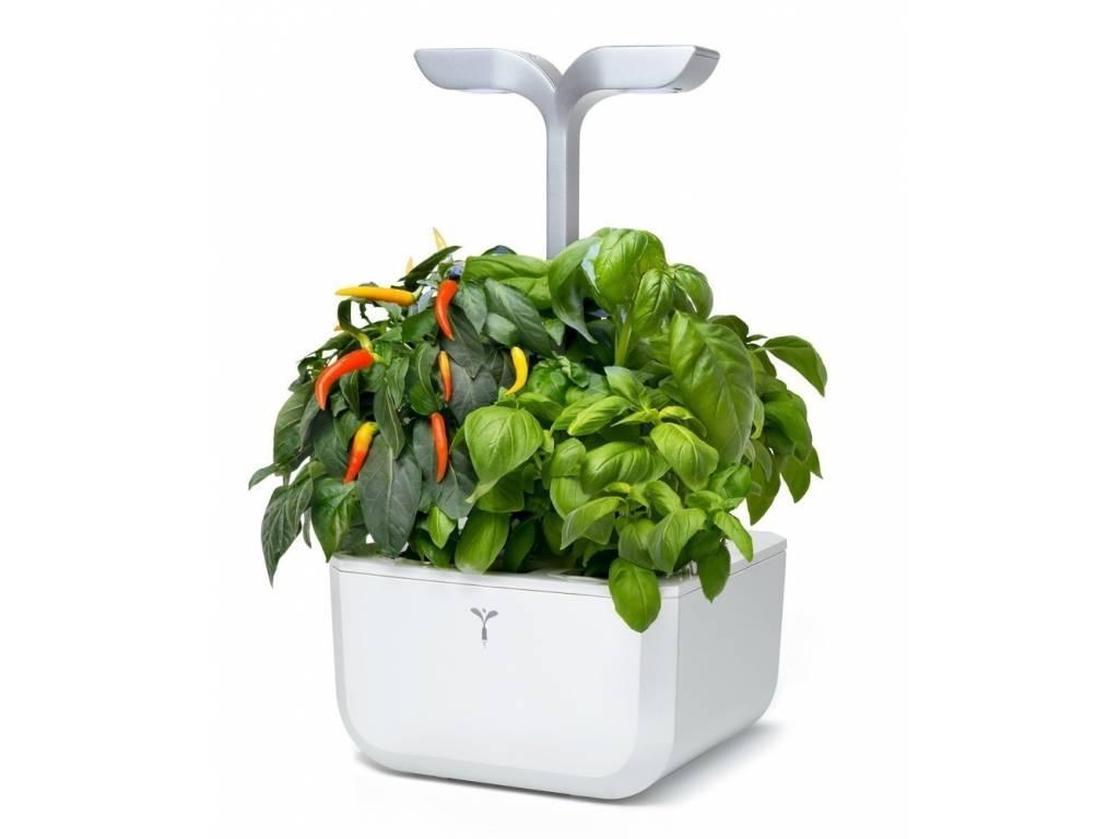 Véritable Exky Classic  stolní zahrádka s náplní 2ks bílá