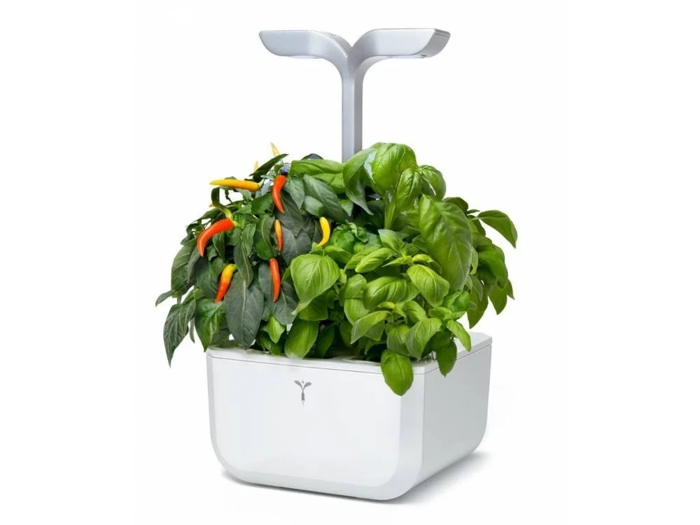 Véritable Exky Classic  stolní zahrádka s náplní 2ks bílá