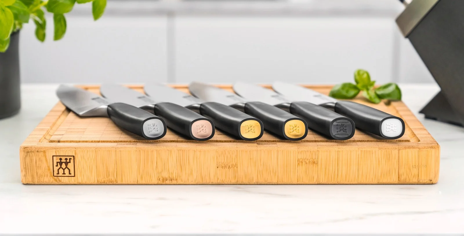 all-star-aplikace-zw