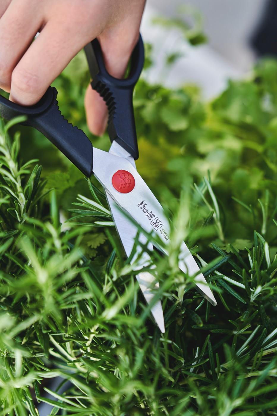 Blok s noži, ocílkou a nůžkami All * Star, 7 ks