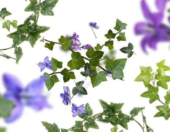 mbp-lolita-lempicka-dotextu