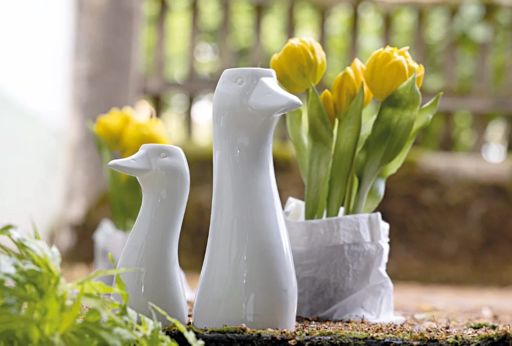 RS_HUTSCH_Husi_vazy (Vlastní)