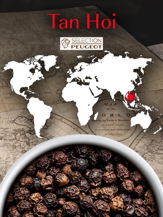 Peugeot Tan Hoi pepř černý 140 g ( 7 x 20 g)