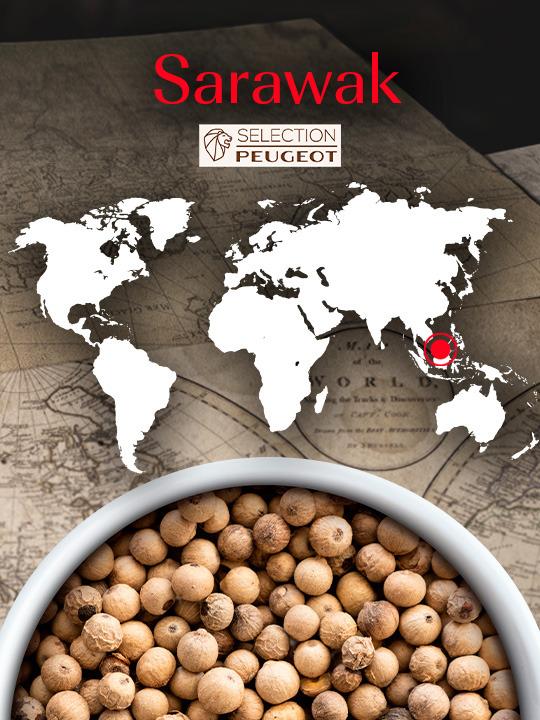 Peugeot Sarawak pepř bílý 80 g ( 4 x 20 g)