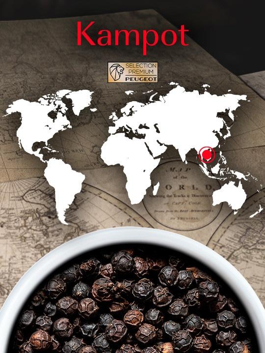 Peugeot Premium Kampot černý pepř 60 g ( 3 x 20 g)