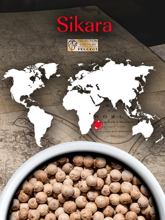 Peugeot Premium Sikara bílý pepř 60 g ( 3x20 g)