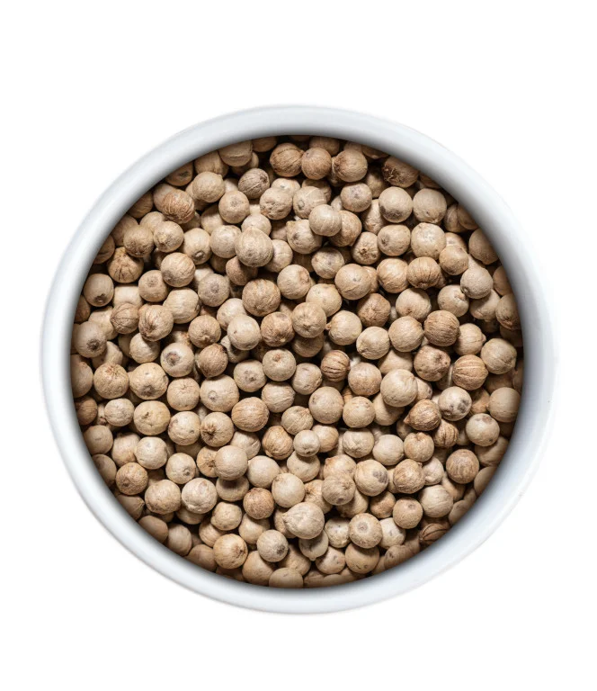 bily_pepr_sikara_text