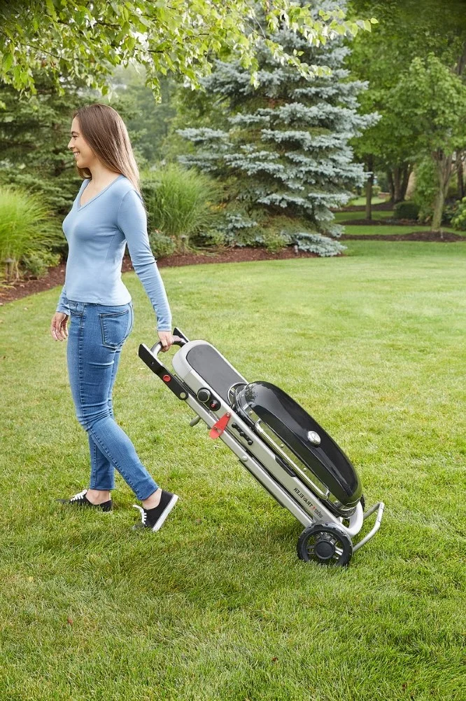 Weber_traveler_prevoz