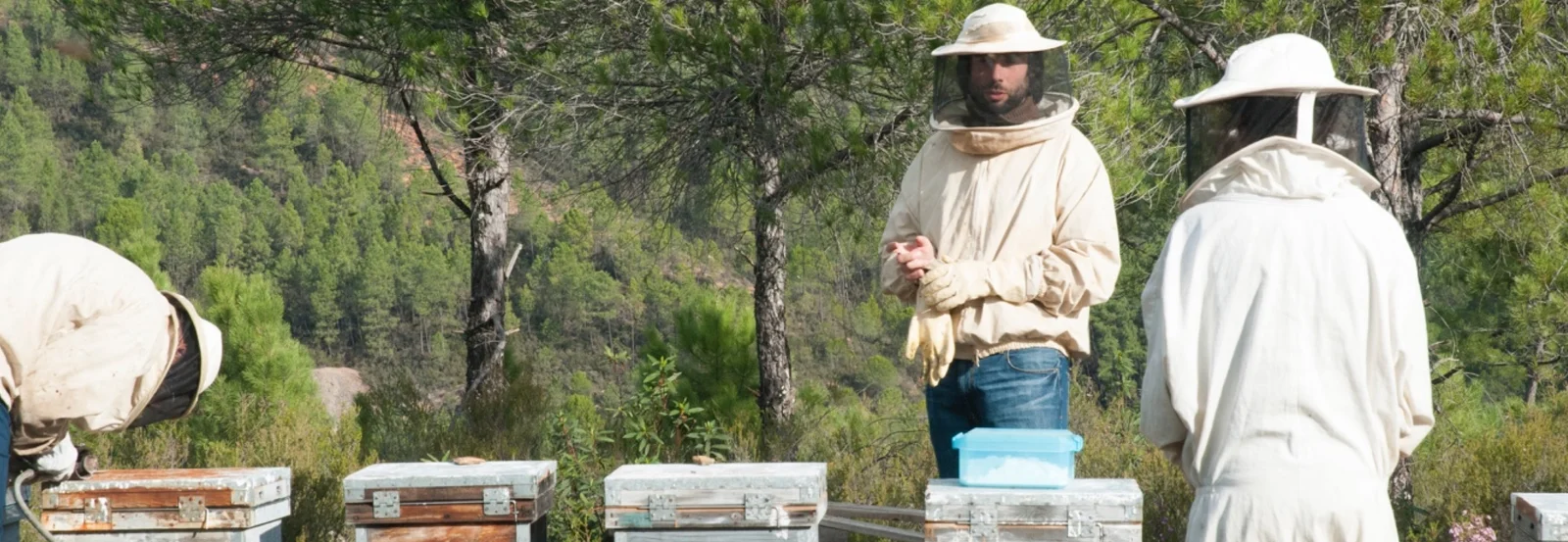 chov_vceL_verde_miel