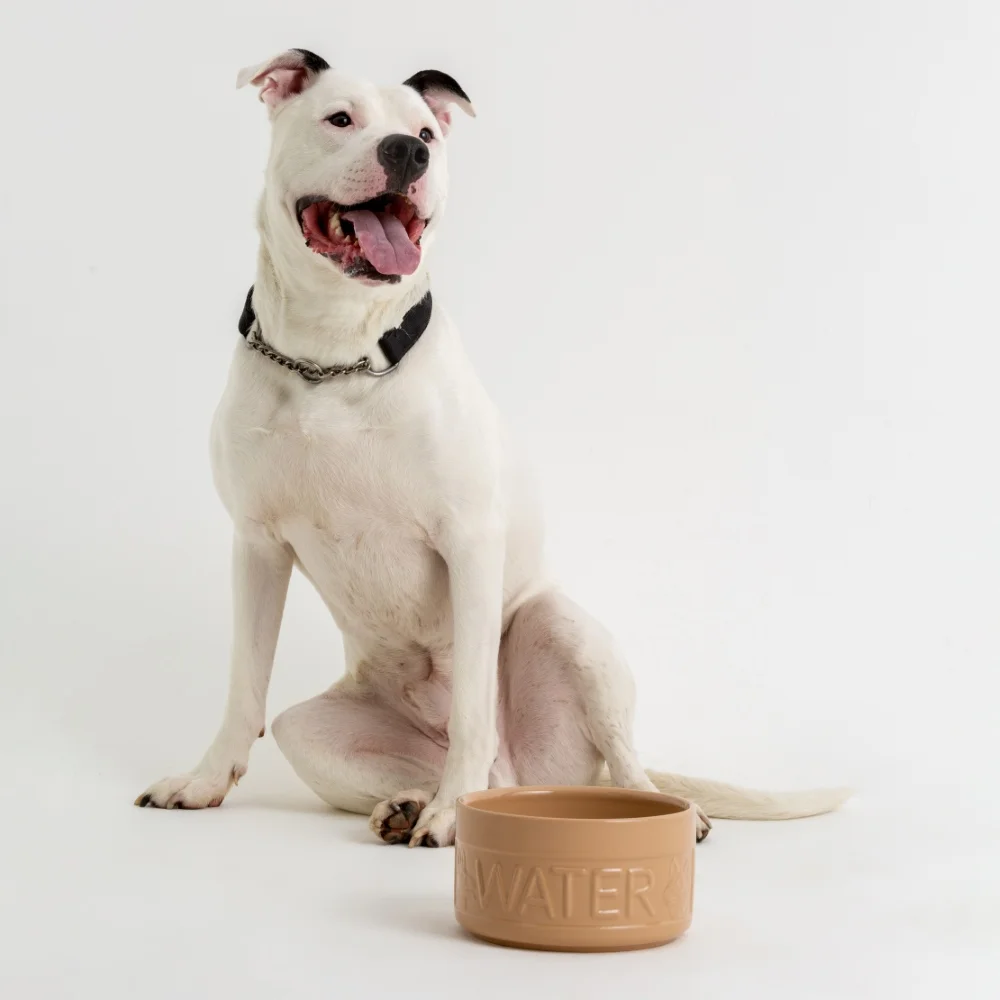 2030.323 Cane 20cm Water Bowl Buster square (čtverec malý)