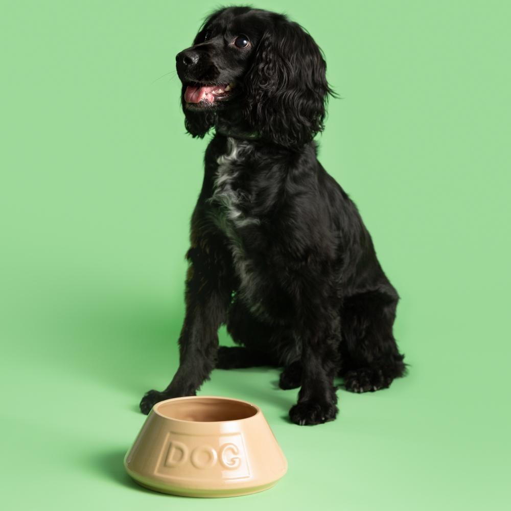 Miska pro psy Original Non Tip, nápis Dog, 1,6 l