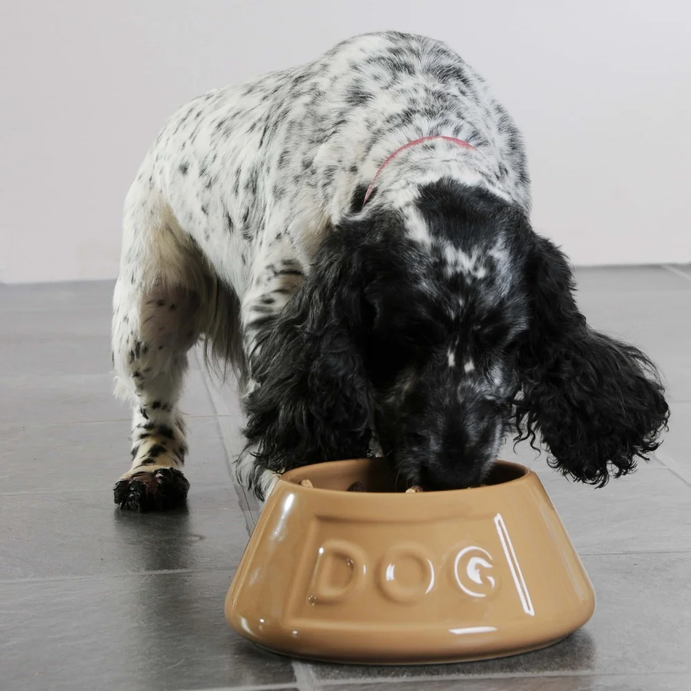 MasonCash_Cane_Non_tip_Bowls_2030.304_1,6l