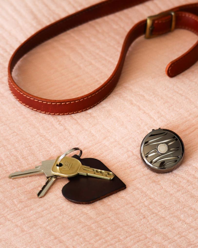 Vůně do auta Holly Ambrový prach