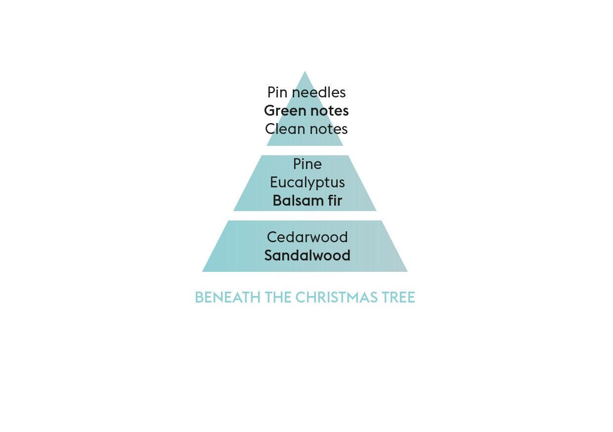 Dárková sada Duo Mini Winter: aroma difuzér s náplní 80 ml + svíčka 80 g, Pod vánočním stromem