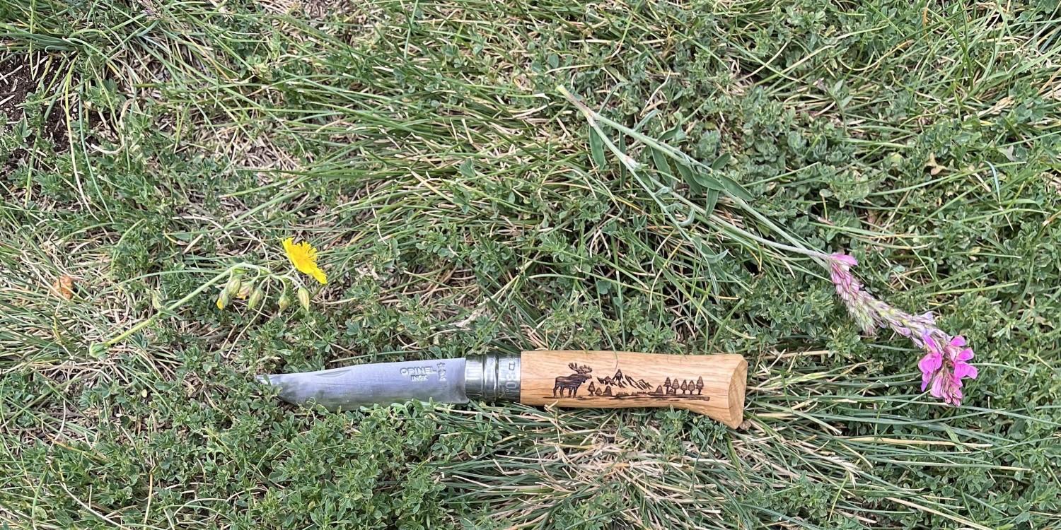 Zavírací nůž VRI N°08 Animalia America, motiv bizon