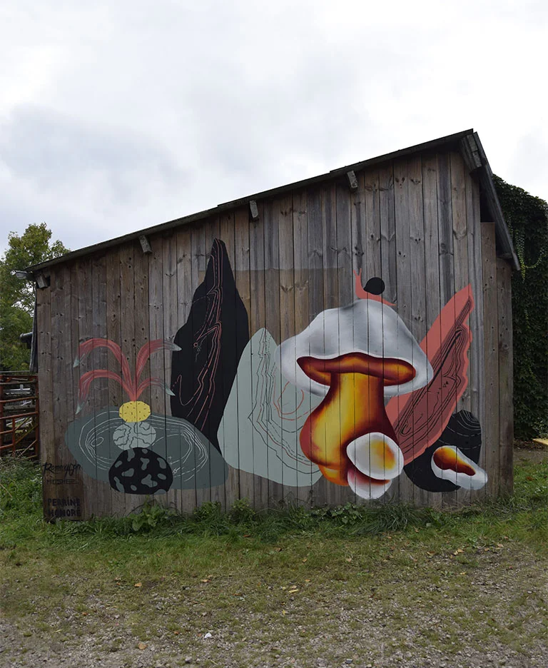 rommy_gonzalez_life_dotextu_1