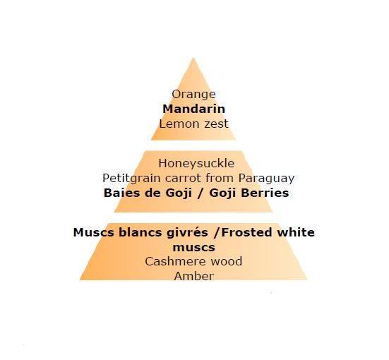 Náplň do katalytické lampy Bobule goji, 1000 ml