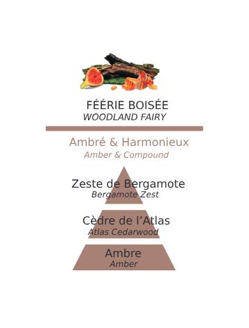 Náplň do katalytické lampy Lesní víla, 500 ml